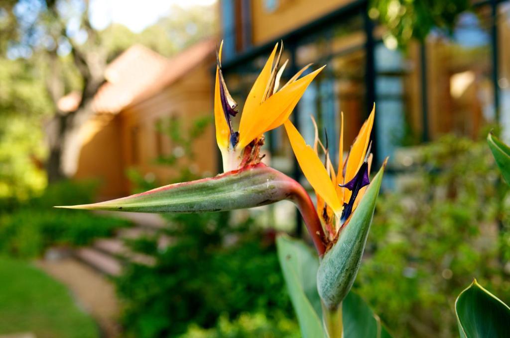 Cap Serein Guest House Kapsztad Zewnętrze zdjęcie